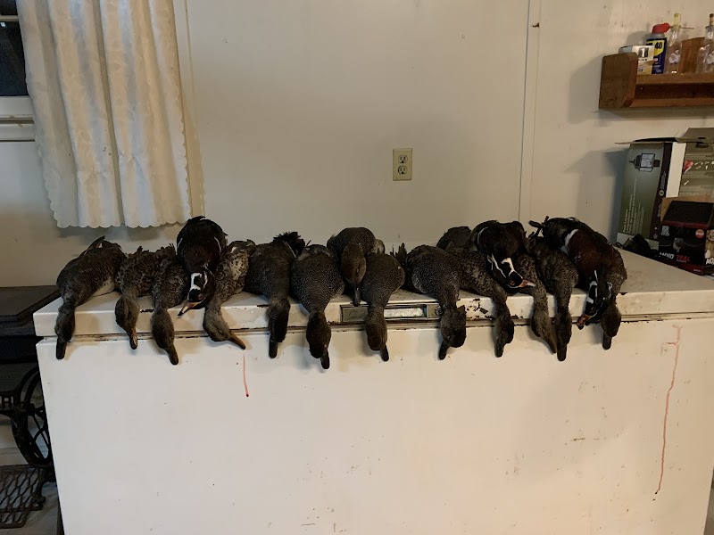Buck and Boar Lodge of SC - Photo 3