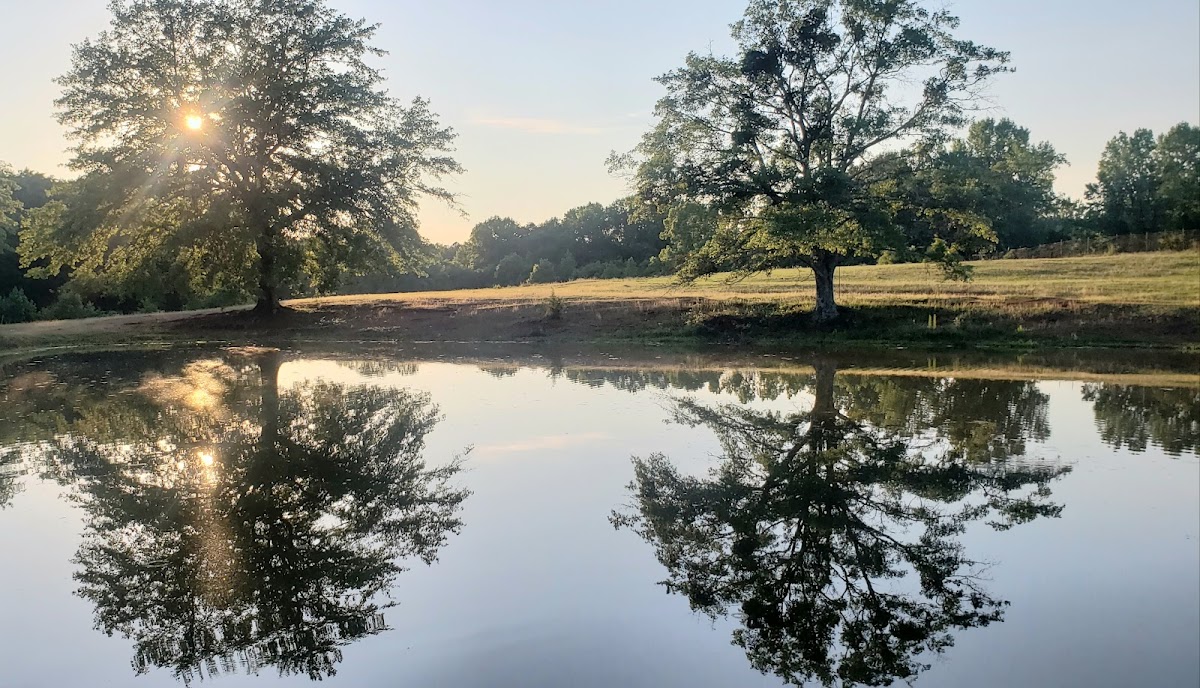Sugar Hills Farm and Kennel, LLC