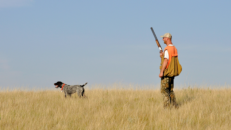 DeBoer's Pheasant Ranch, LLC - Photo 6
