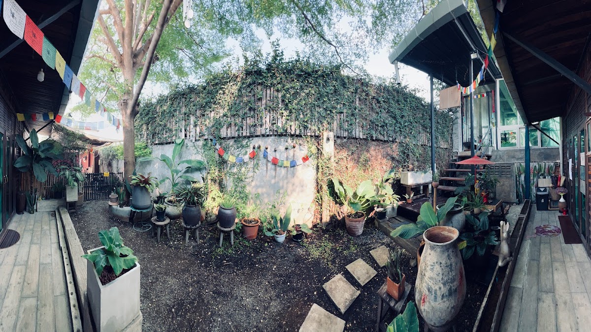 Earth Yoga School