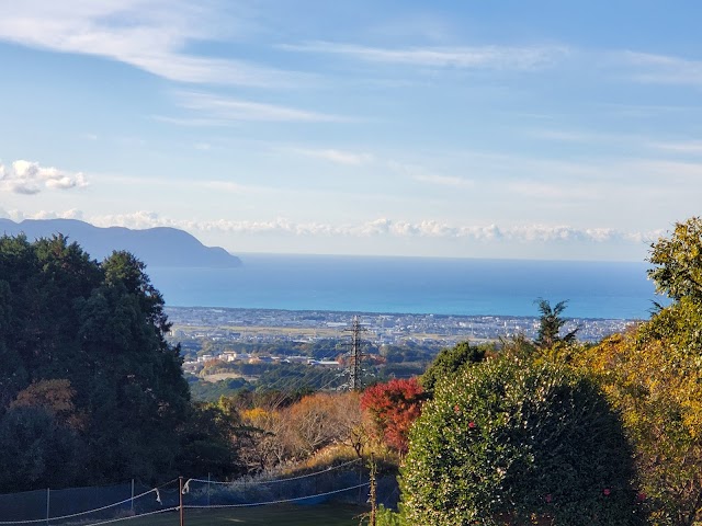 Numazu Golf Club - Photo 10