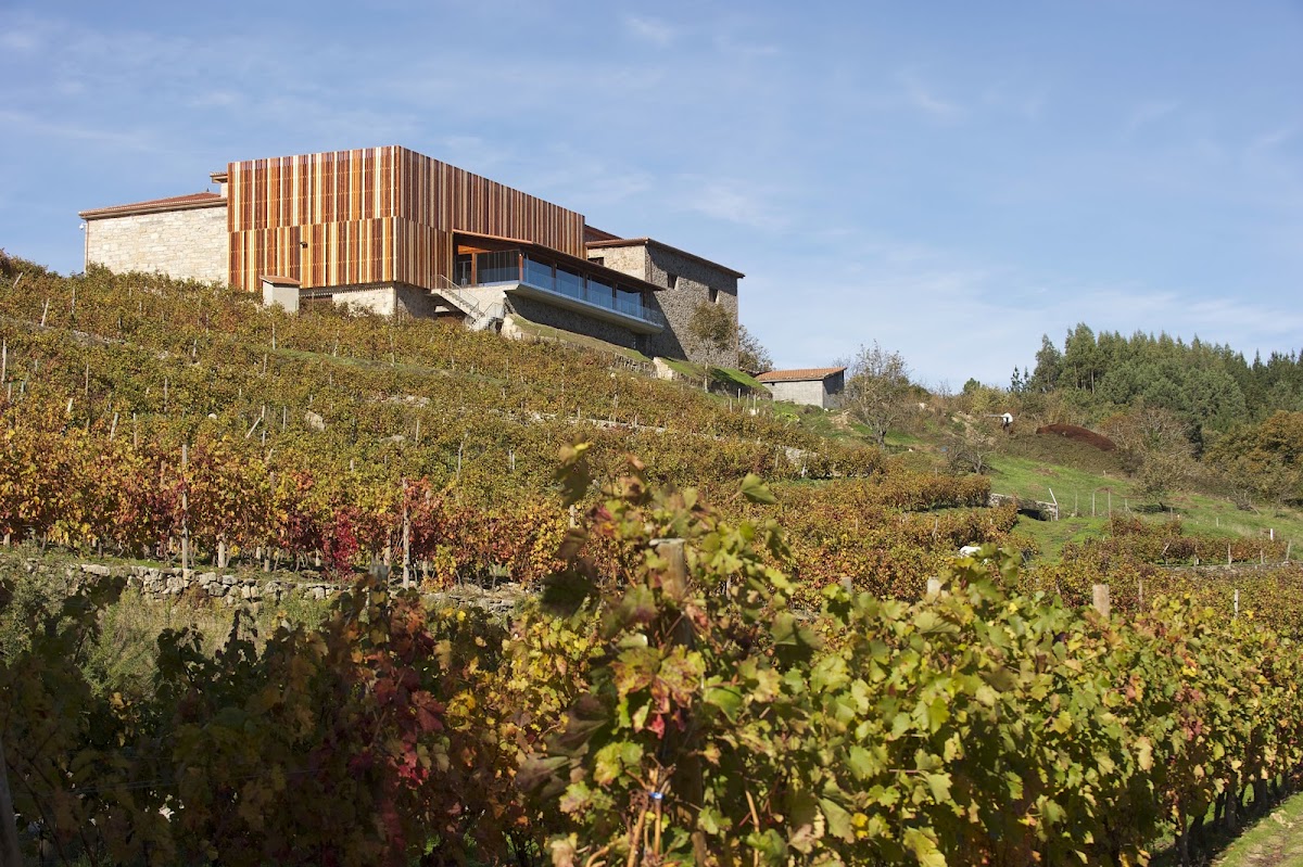 Bodegas Rectoral de Amandi