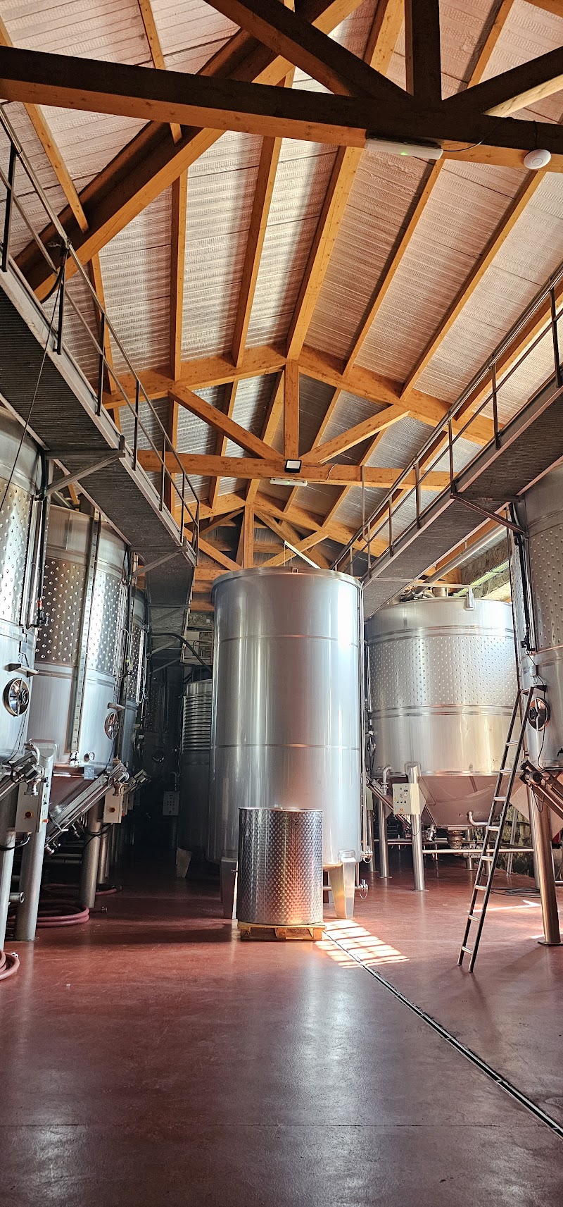 Bodegas Rectoral de Amandi photo 5