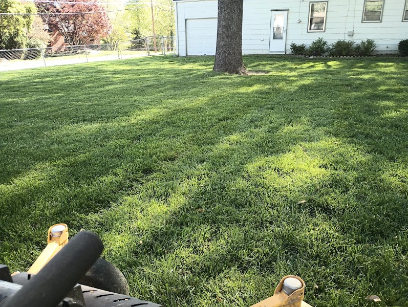 Clean Cut Lawns
