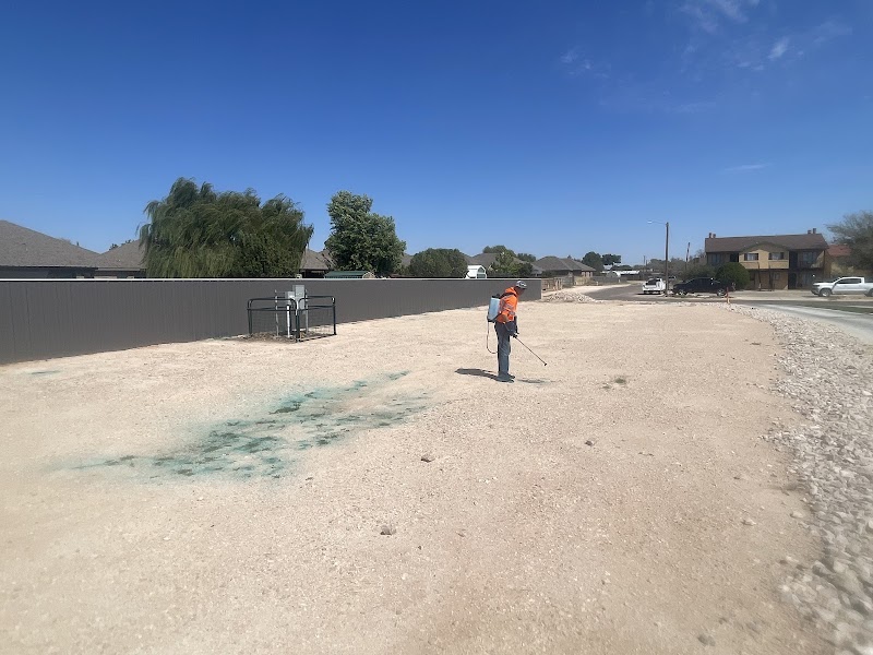 Blue Barn Coffee photo 4