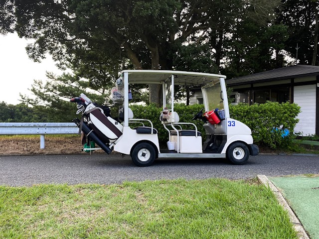 Chiba Central Golf Club - Photo 8
