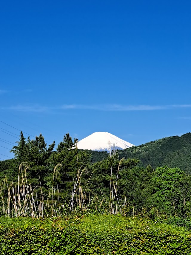 Odawara Golf Club Matsuda Course - Photo 7
