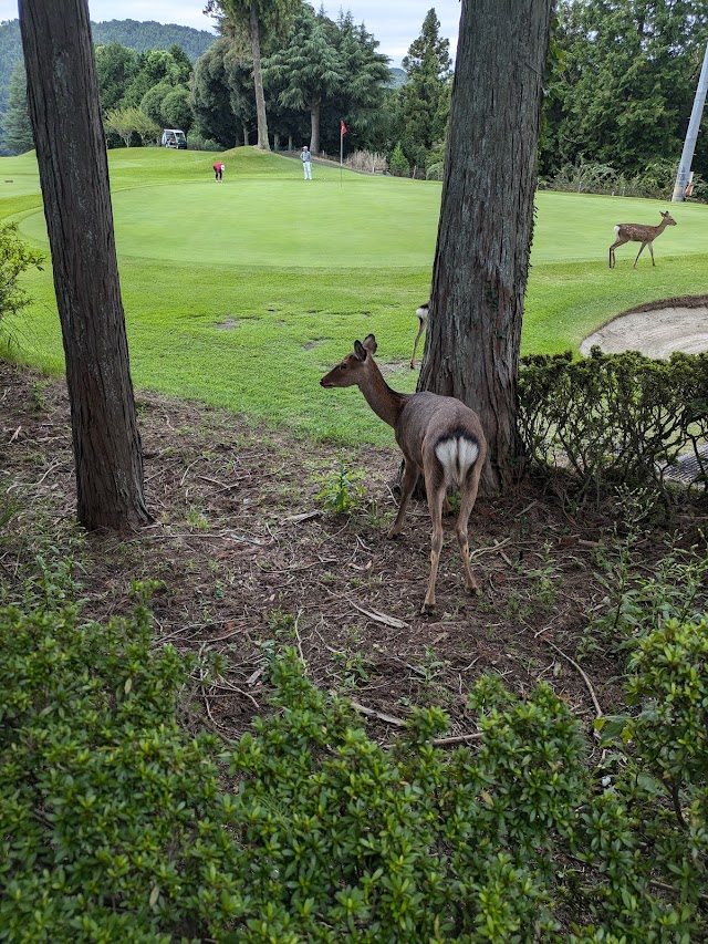 Odawara Golf Club Matsuda Course - Photo 8