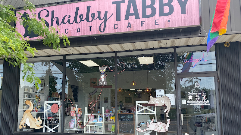 The Shabby Tabby Cat Cafe