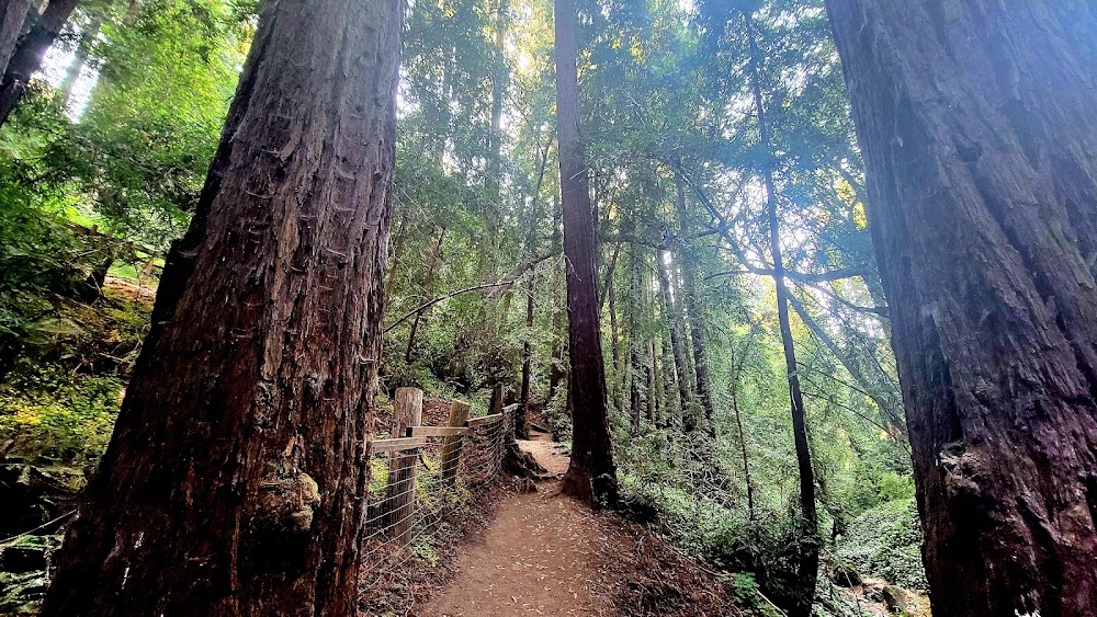 Bridgeview Trailhead photo