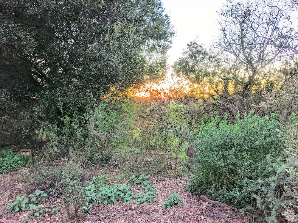 customer photo 3 of Bridgeview Trailhead