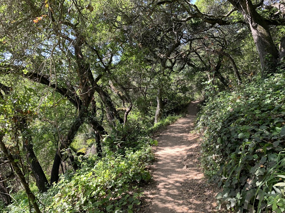 Bridgeview Trailhead