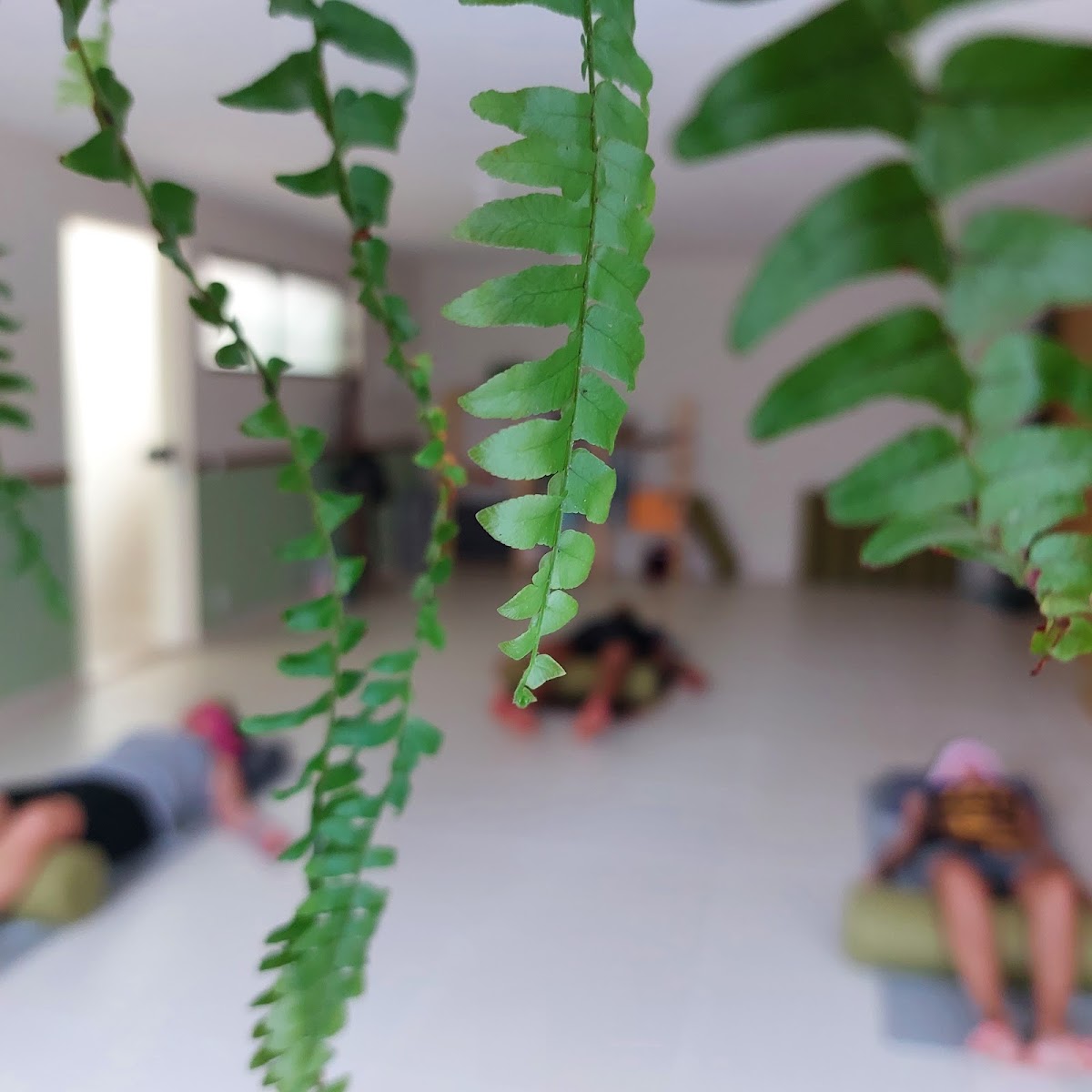 Escola de Yoga RIZOMA — 3