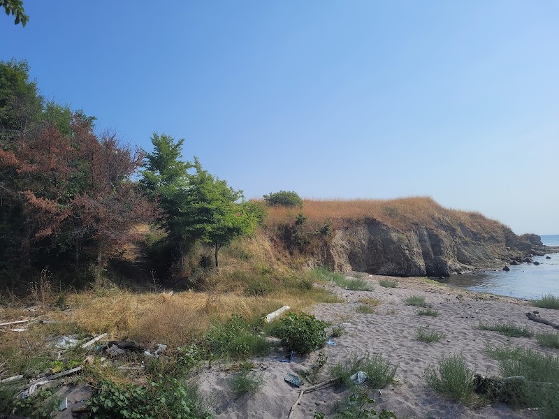 Мръсния плаж