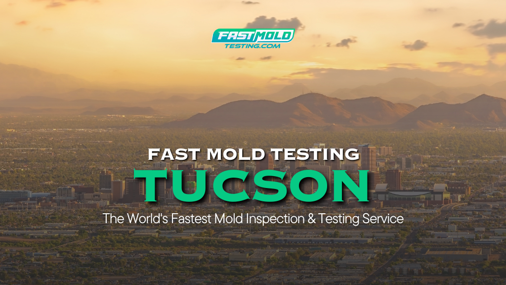 Fast Mold Testing - Tucson — photo