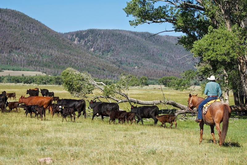 Vee Bar Guest Ranch - Photo 2
