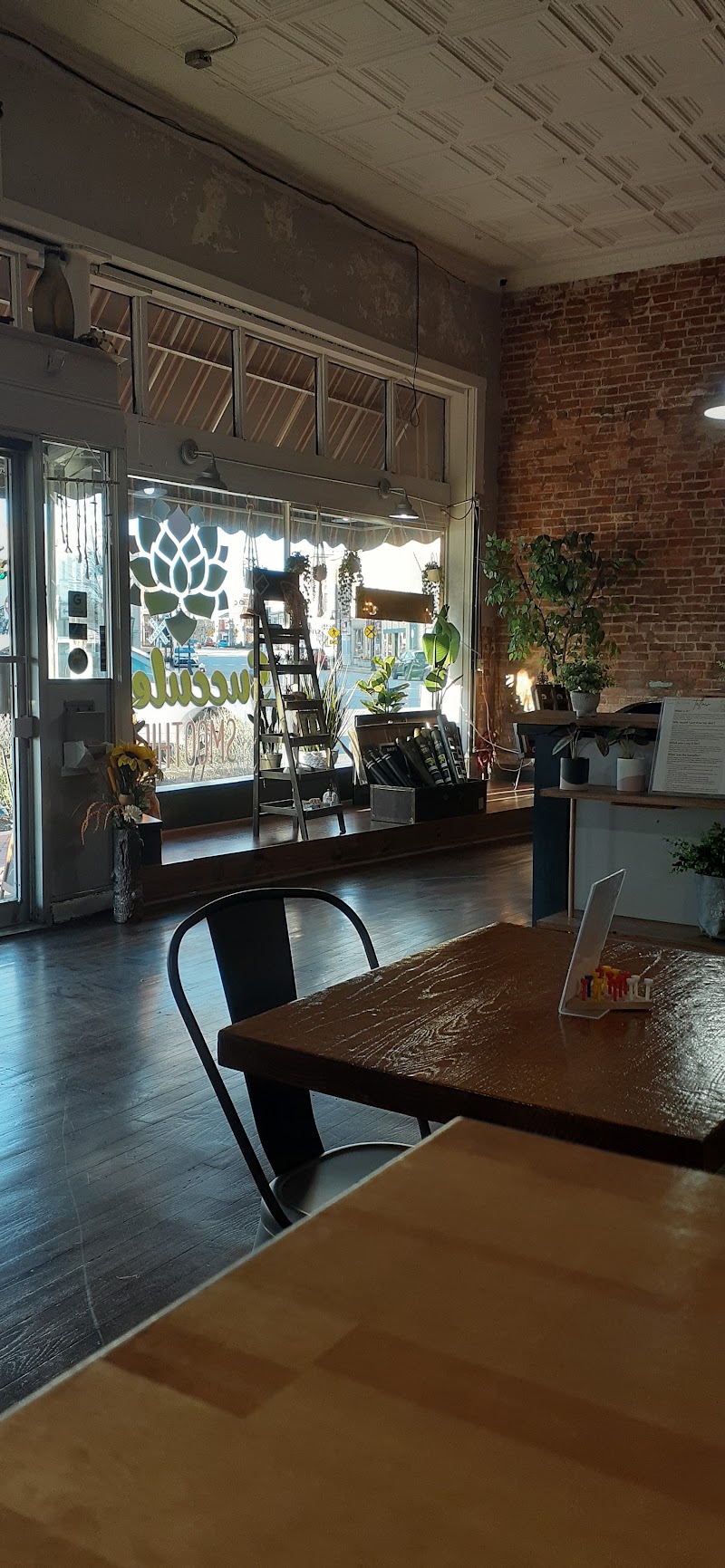 Succulent Smoothies photo 4