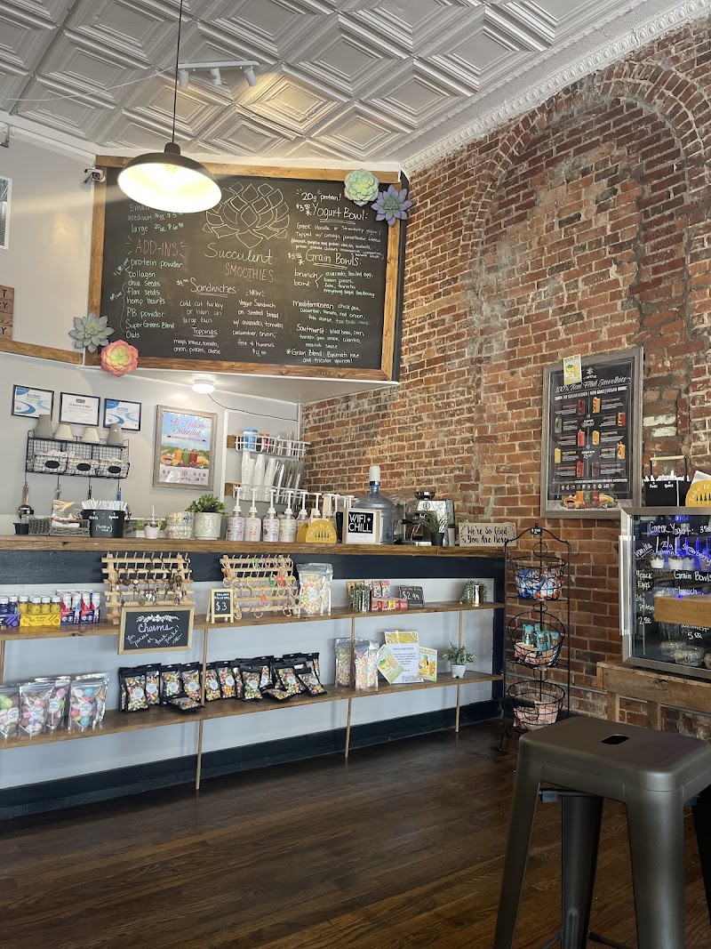 Succulent Smoothies photo 1