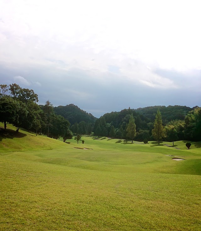 Toshin Princeville Golf Course - Photo 2