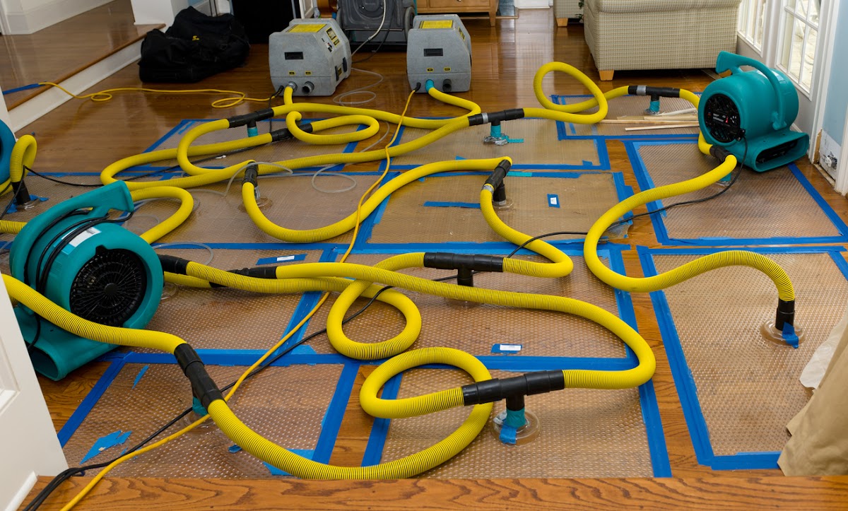 Lucky Water Damage Restoration Los Angeles — photo