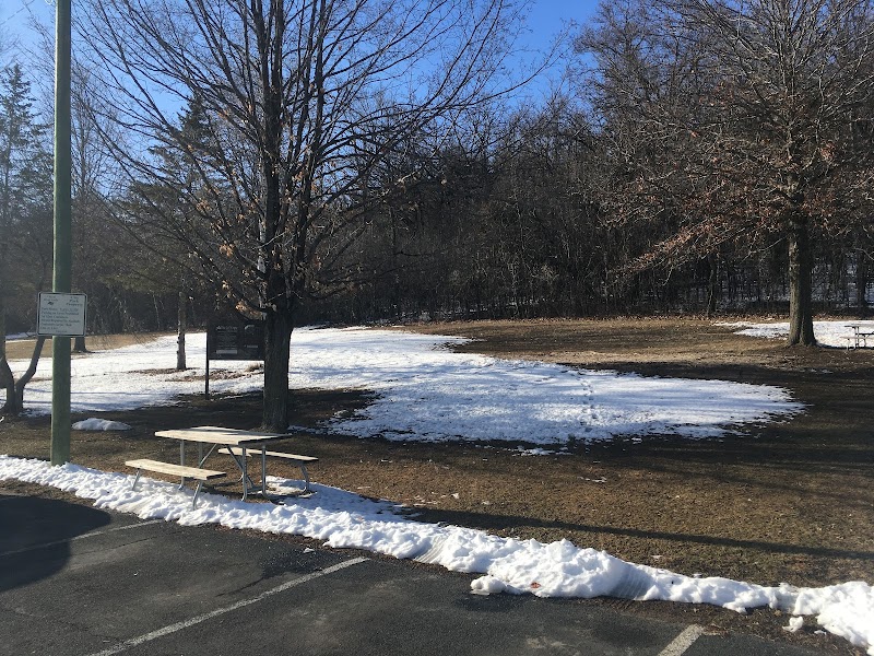 Hoffman Park Disc Golf Course photo 1