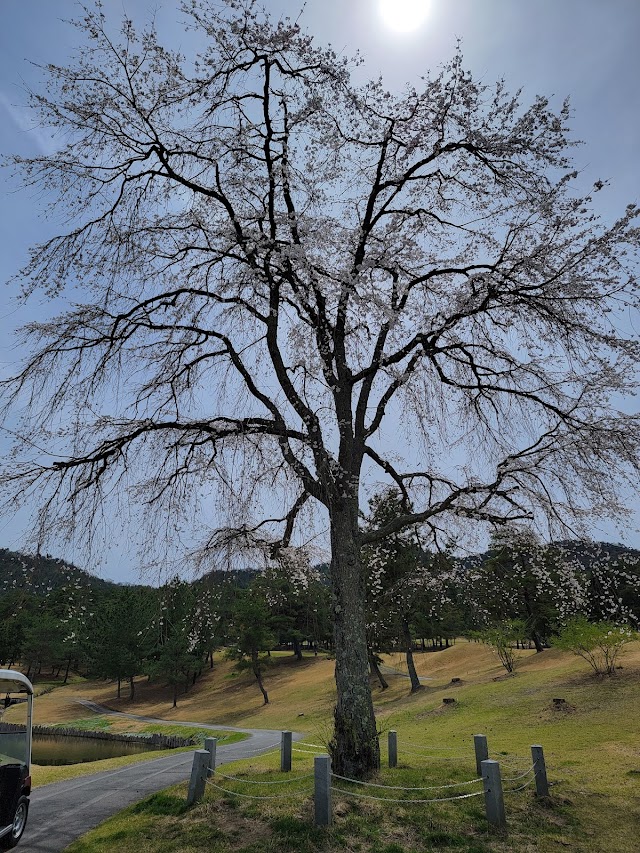 Hiroshima Mizuho Country Club - Photo 7