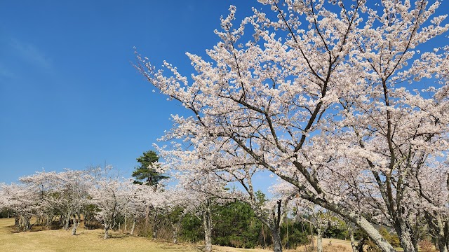 Hiroshima Mizuho Country Club - Photo 6