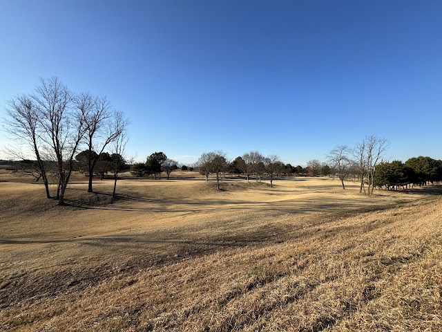 Ichigo Golf Club - Photo 3