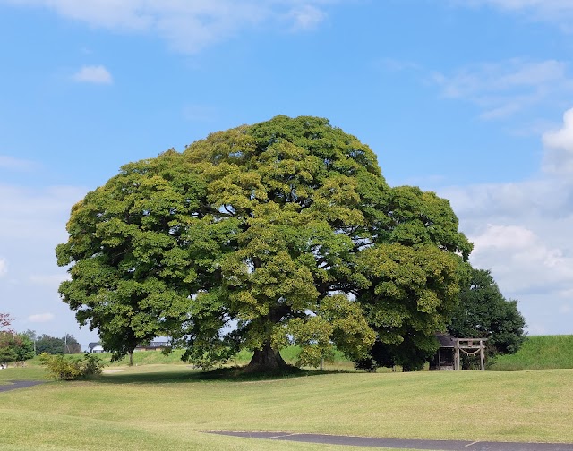 Ichigo Golf Club - Photo 8
