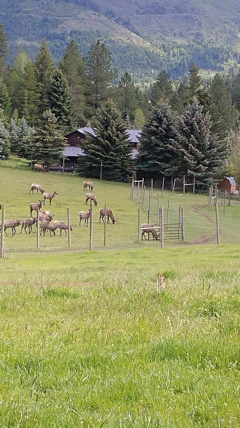 Rose Lake Elk Ranch - Photo 5