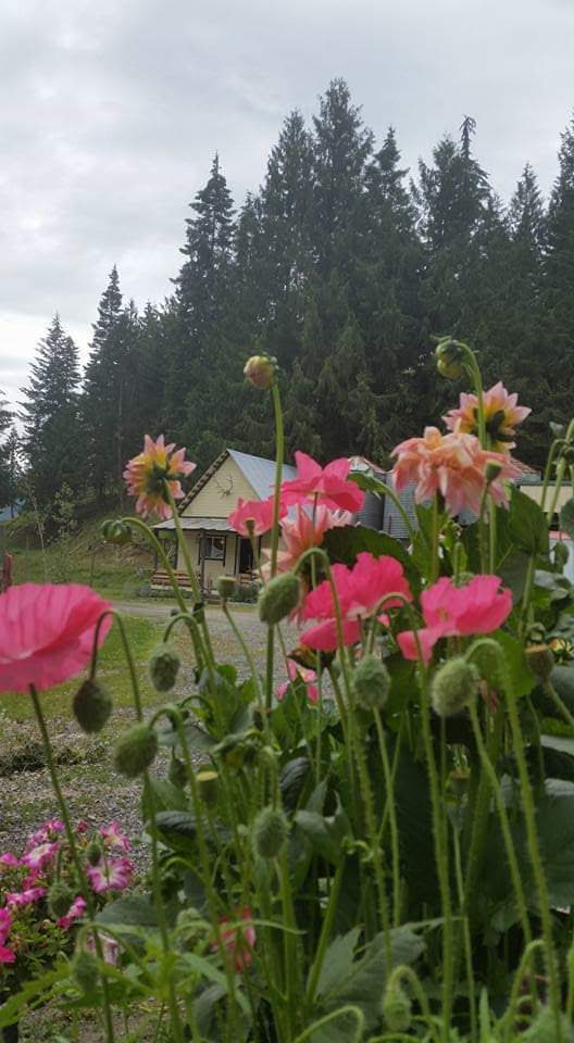 Rose Lake Elk Ranch - Photo 2