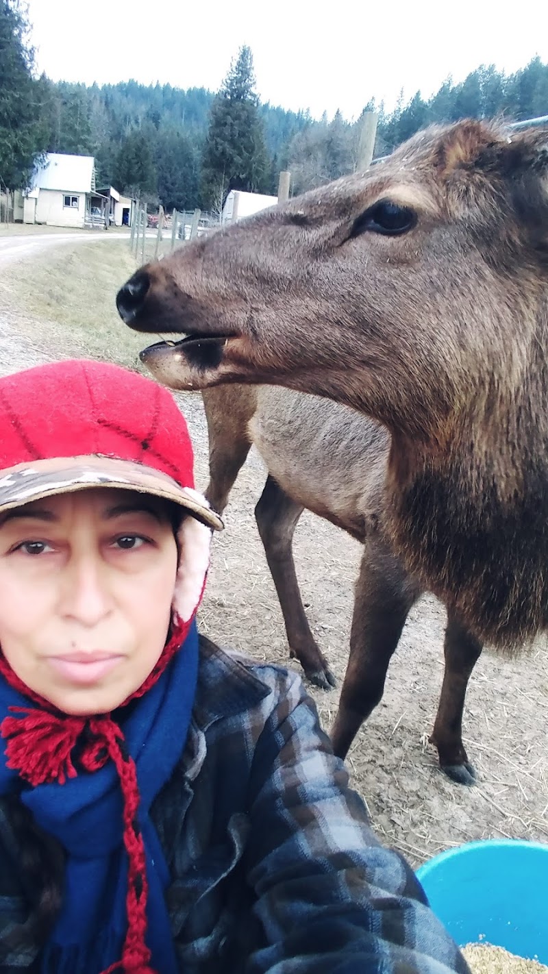 Rose Lake Elk Ranch - Photo 3