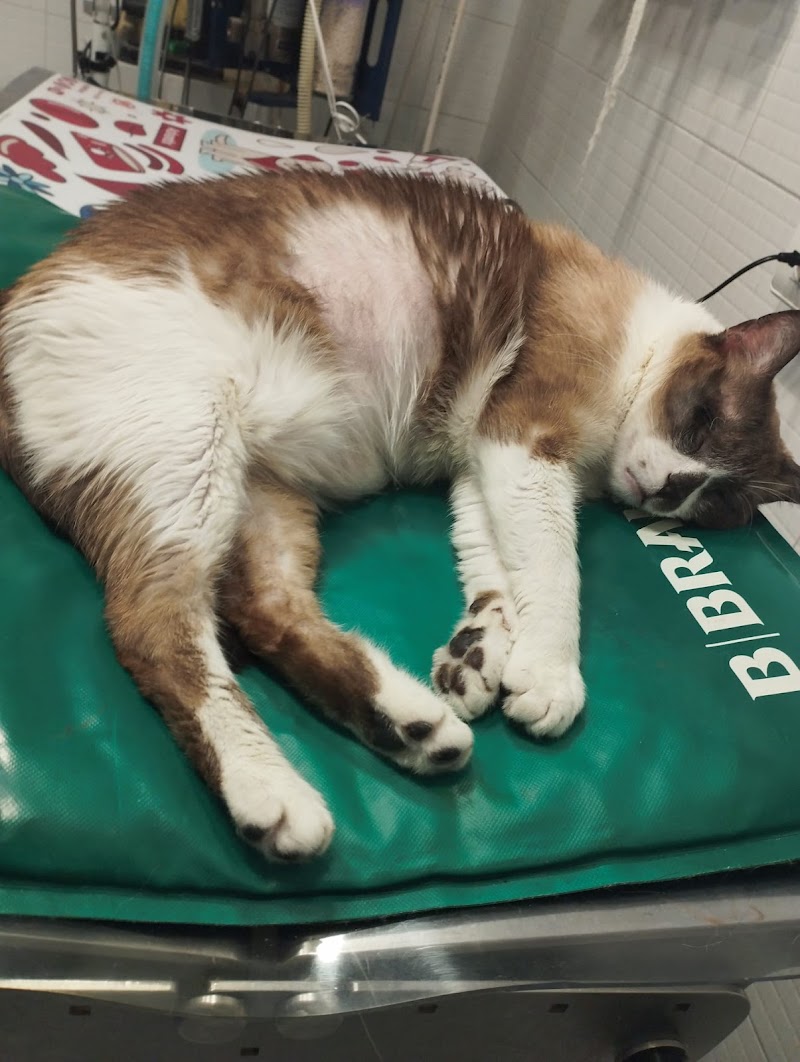 Clínica Veterinaria Garay