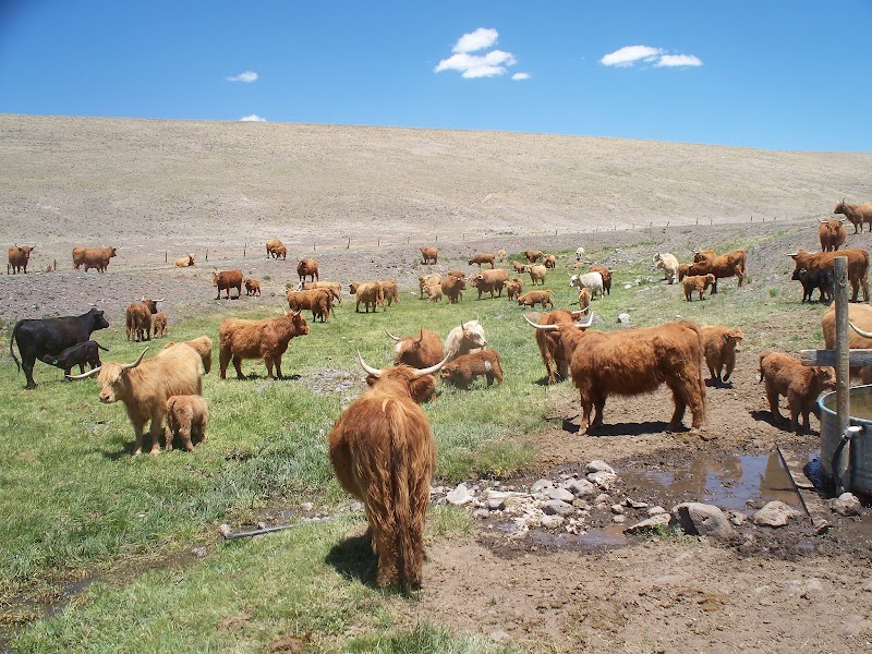 Badger Creek Ranch - Photo 3