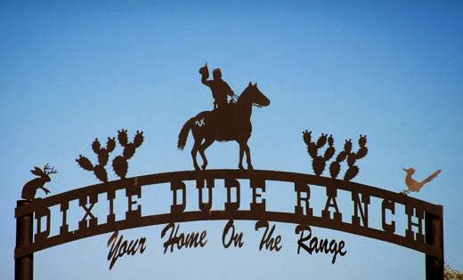 Dixie Dude Ranch - Photo 4