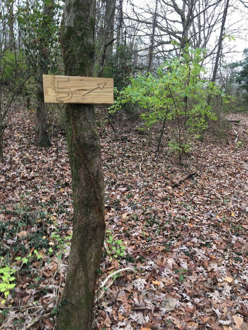 9 On Top Disc Golf Course photo 4
