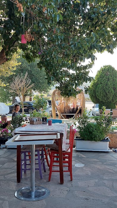 Zehra'nın Mutfağı Kahvaltı-Gözleme-Yemek fotoğraf 1