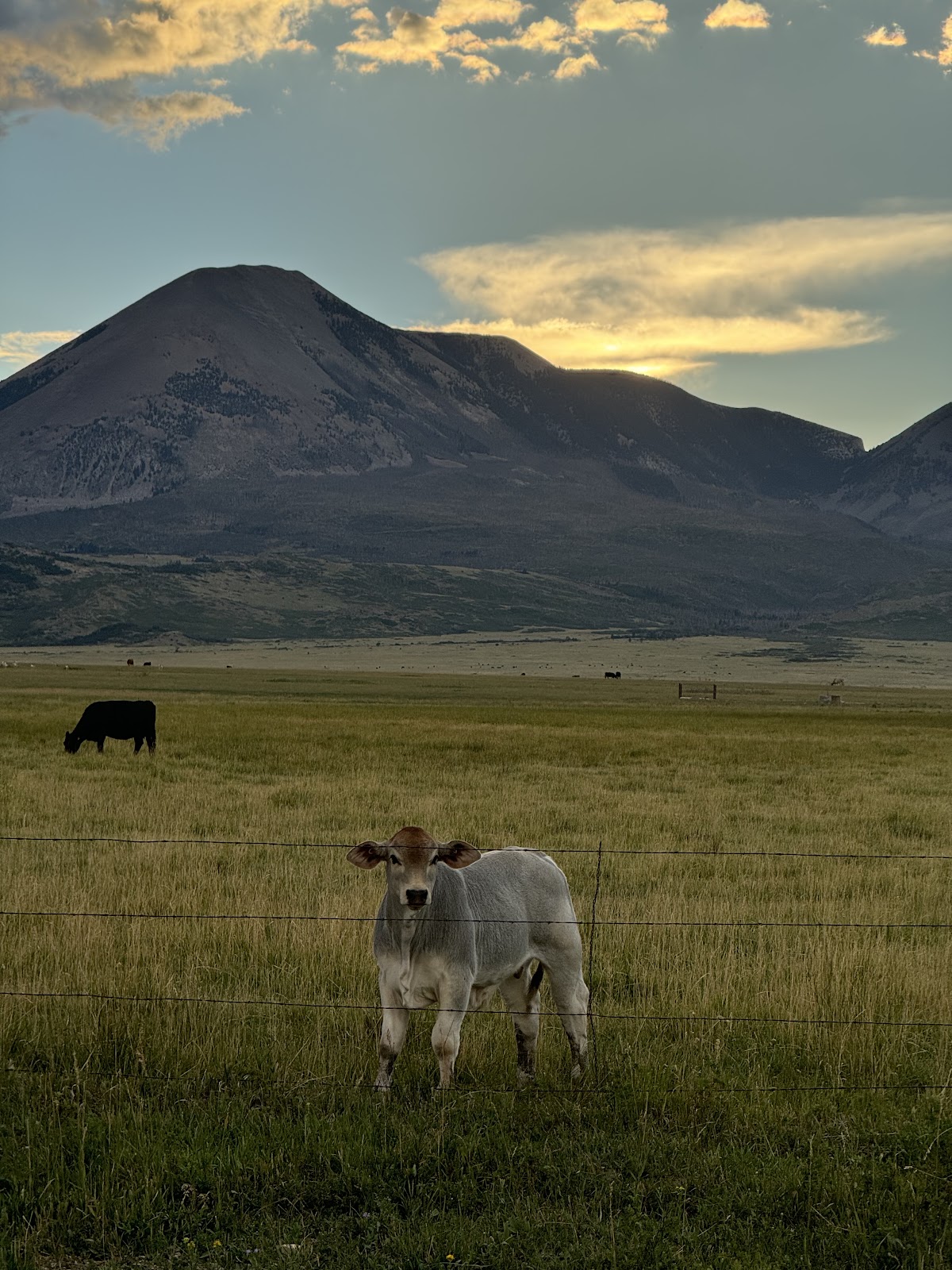 JW Ranch