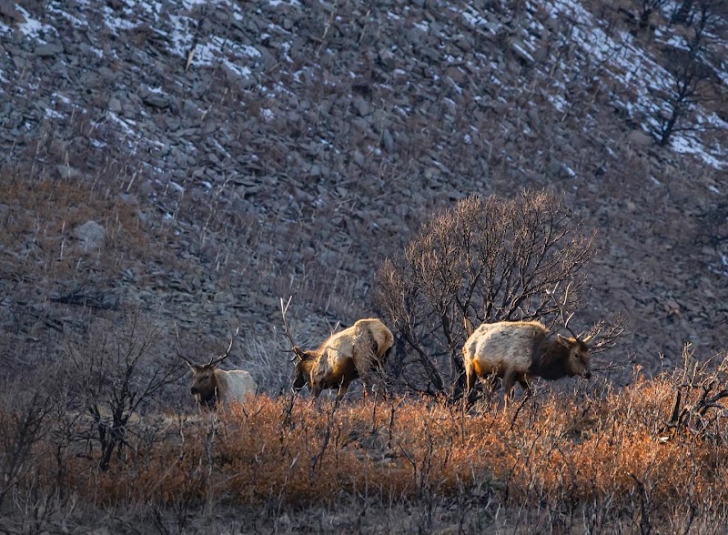 JW Ranch - Photo 2