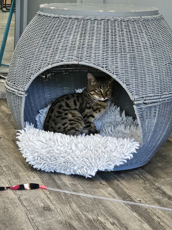 Photo by Mandy McGraw