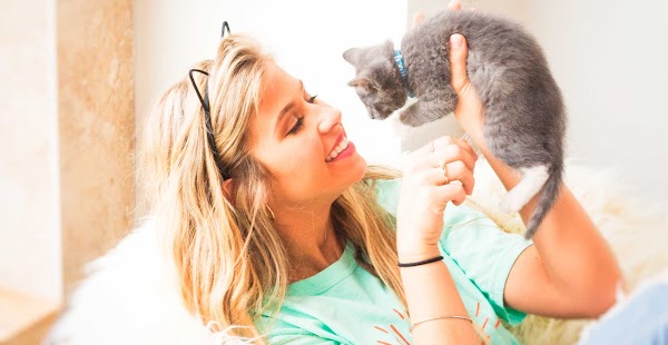 Photo by Purrfect Day Cat Cafe