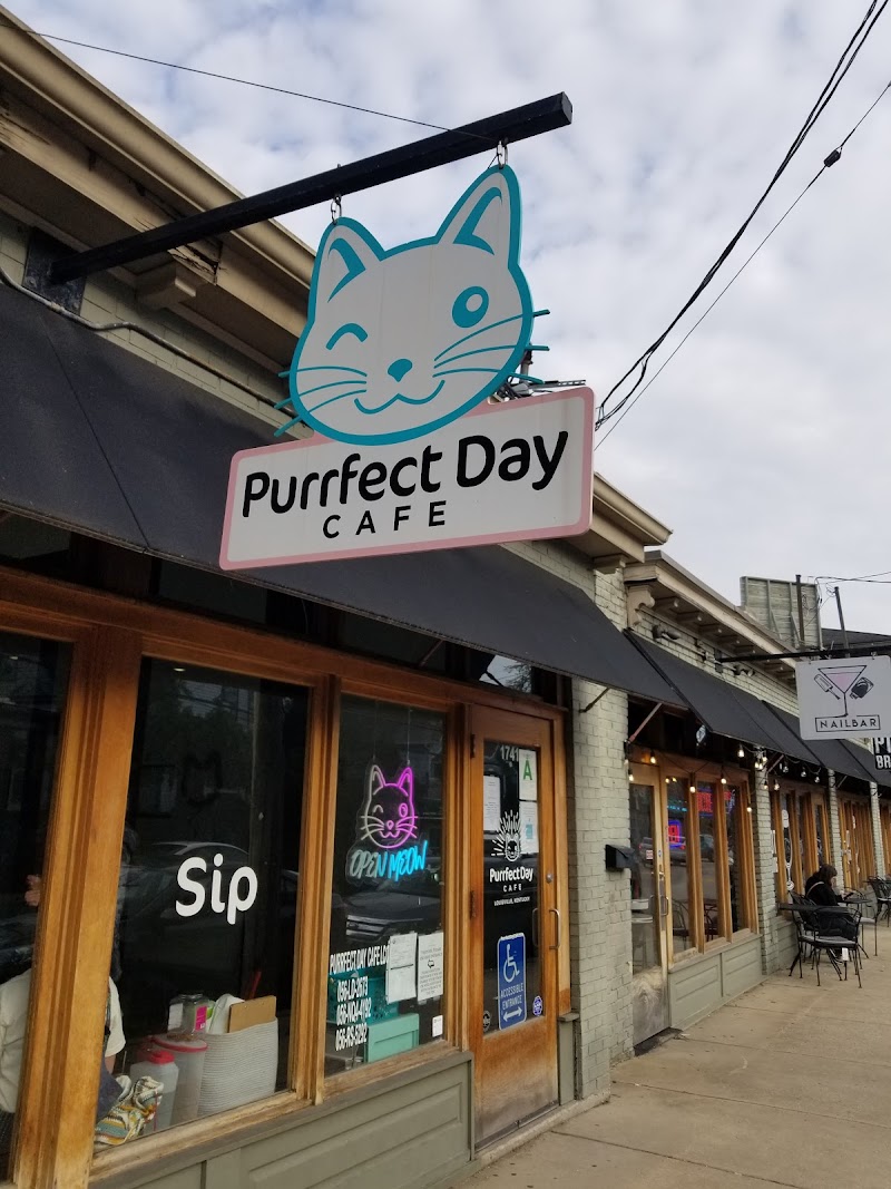 Purrfect Day Cat Cafe photo 4