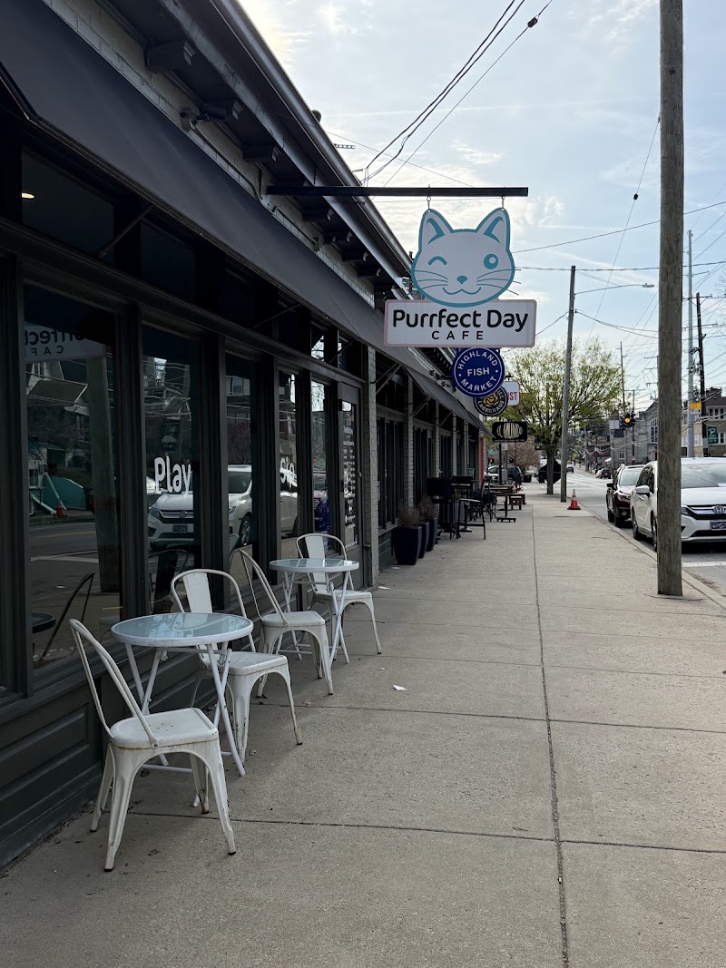 Purrfect Day Cat Cafe photo 4