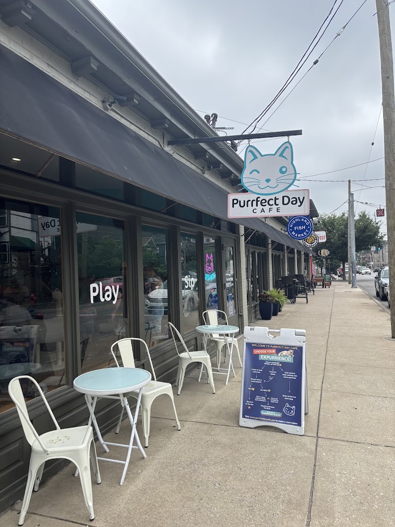 Purrfect Day Cat Cafe photo 4