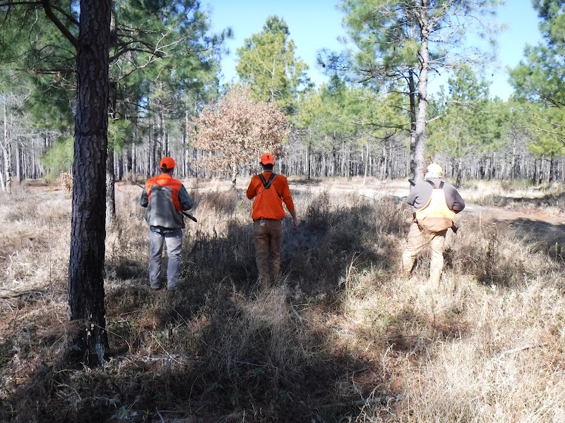 Indian Field Quail Preserve - Photo 1