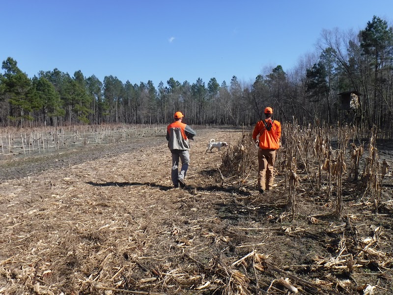 Indian Field Quail Preserve - Photo 5