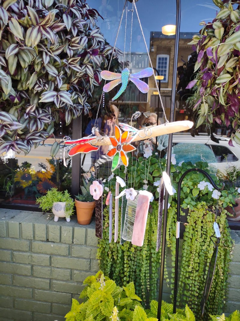 Herbalife - Oneonta Nutrition photo 3