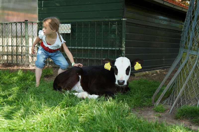Alphense Kinderboerderij