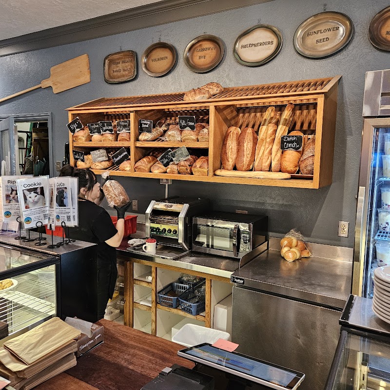 Schat's Bakery & Cafe photo 4