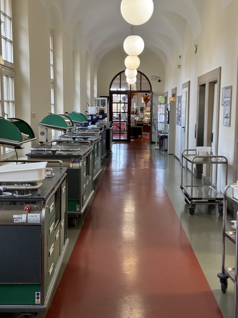 Gallery 4